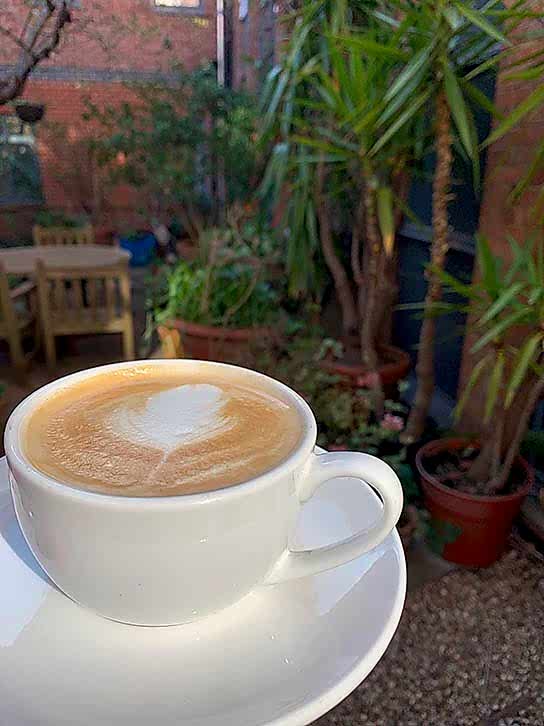 A white cup and saucer containing coffee, with plants in the background